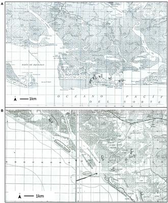 Engaging Fishers' Ecological Knowledge for Endangered Species Conservation: Four Advantages to Emphasizing Voice in Participatory Action Research